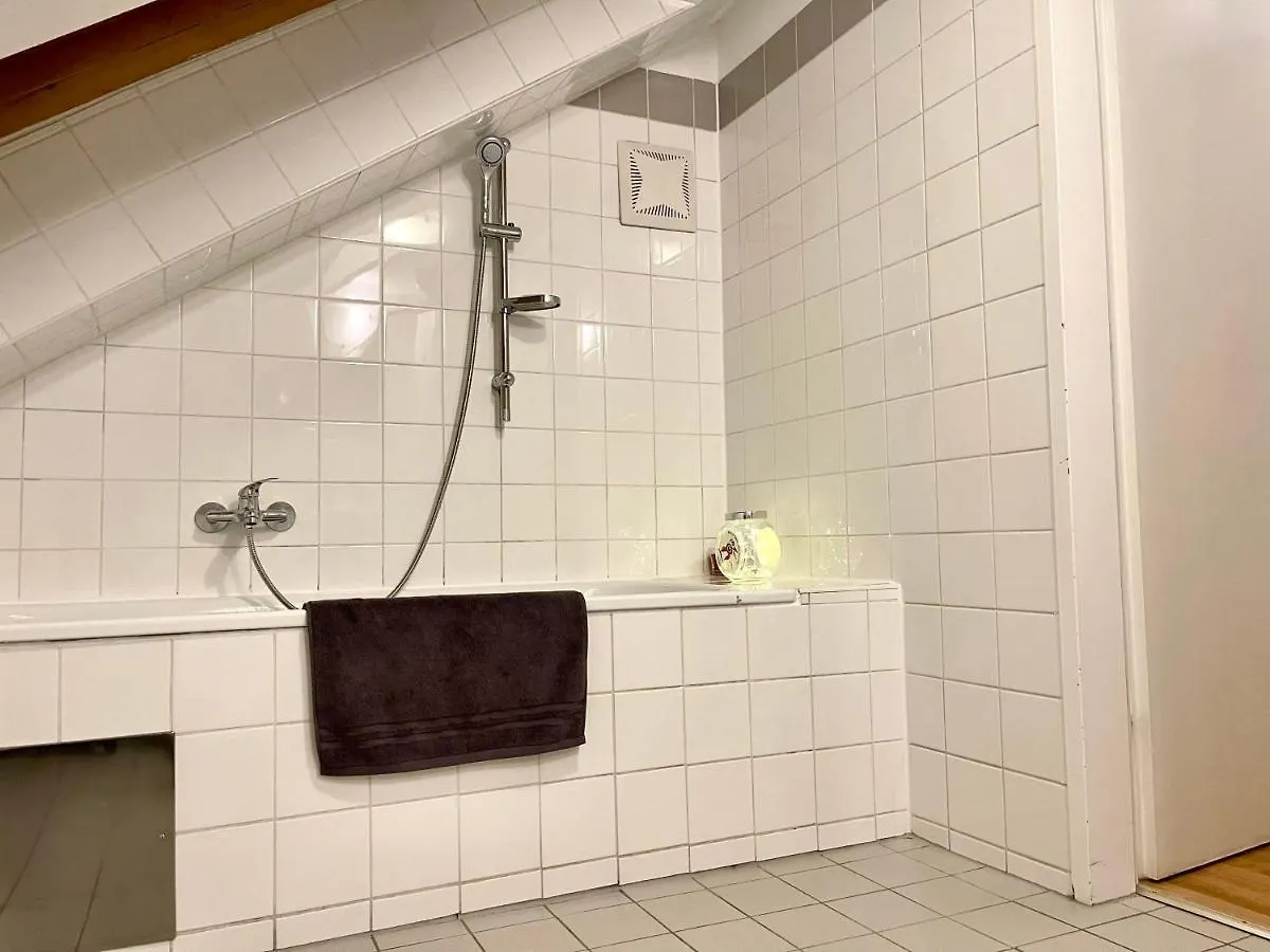 Klimatisiertes, Ruhiges Dachgeschoss Cityapartment Im Zentrum Wiens Vienna
