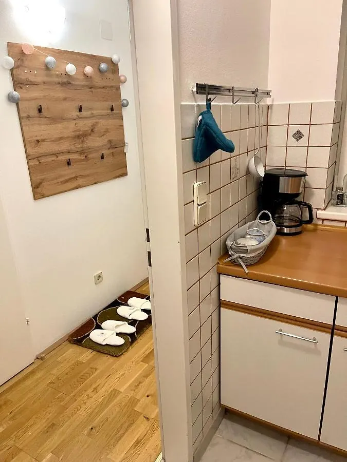 Klimatisiertes, Ruhiges Dachgeschoss Cityapartment Im Zentrum Wiens 0*, Vienna